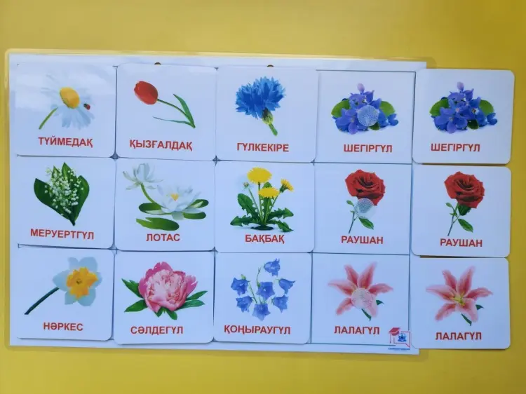 Обучающий набор Обучающий набор на липучках Цветы купить,NaN