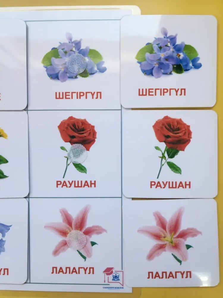 Обучающий набор Обучающий набор на липучках Цветы купить,NaN