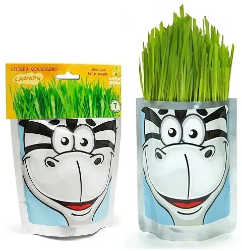 Выращивание растений Happy Plant Зебра купить,NaN