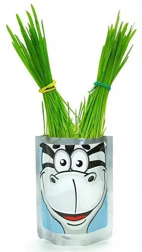 Выращивание растений Happy Plant Зебра купить,NaN