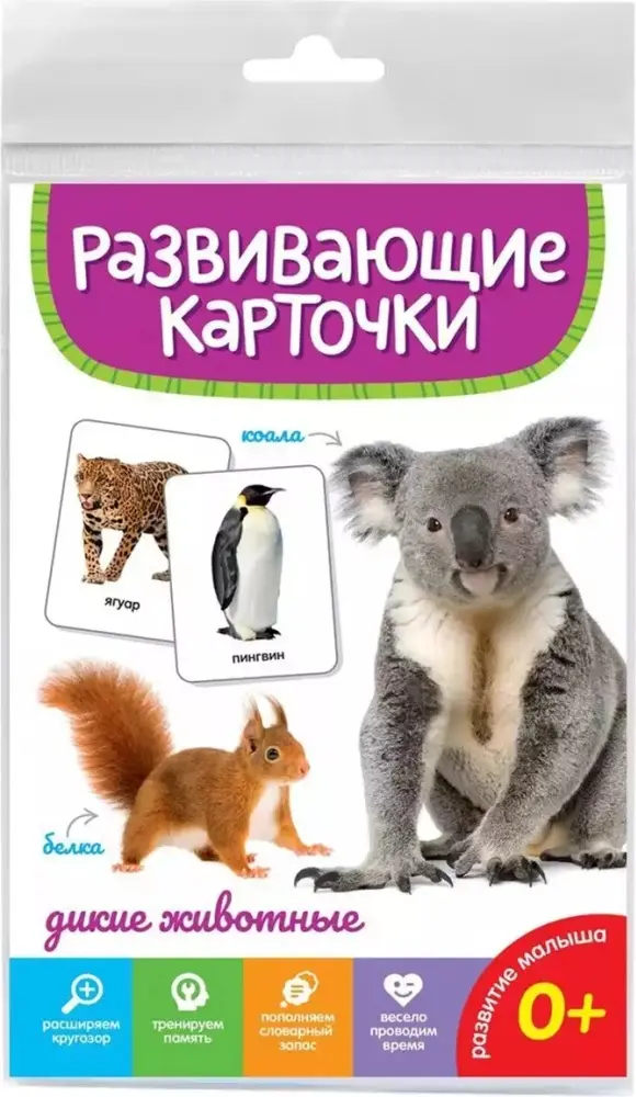 Карточки дикие живоные купить,NaN
