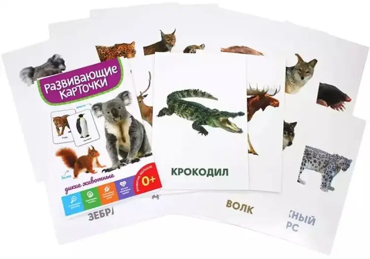 Карточки дикие живоные купить,NaN