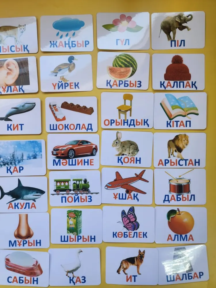 Обучающий набор Обучающий набор на липучках составь слова на казахском купить,NaN