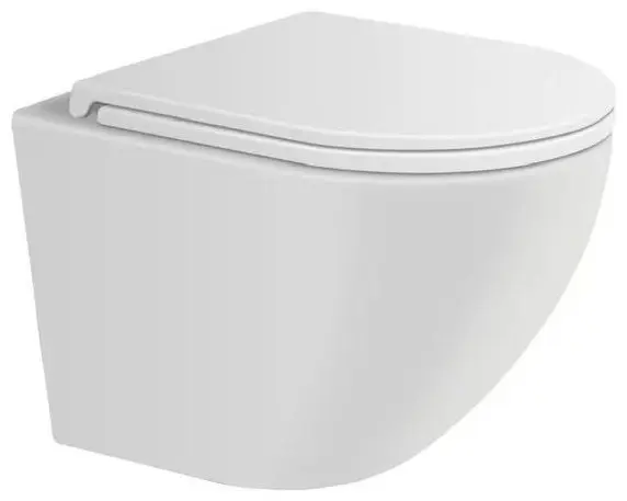 Saniteco унитаз Rimless 101, санфаянс купить,NaN