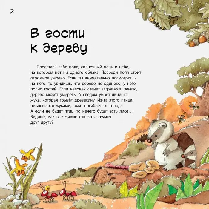 Книга Рока Н., Курто Р.: Наука рассказывает: О Земле купить,NaN