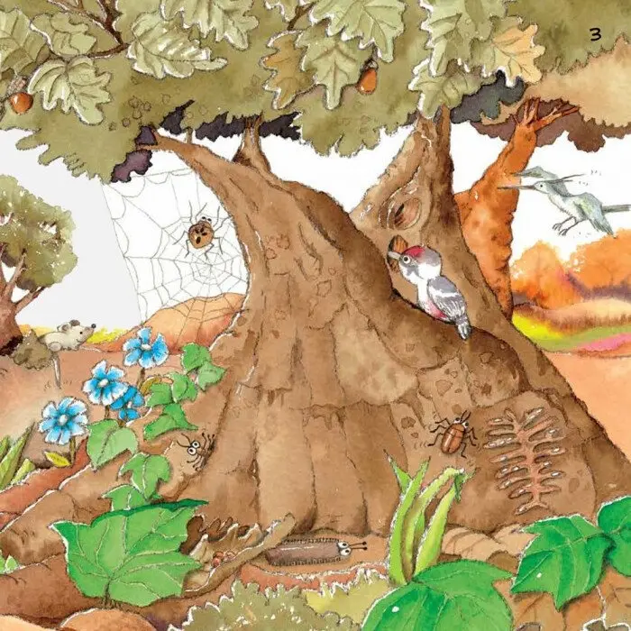 Книга Рока Н., Курто Р.: Наука рассказывает: О Земле купить,NaN