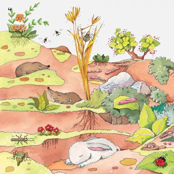 Книга Рока Н., Курто Р.: Наука рассказывает: О Земле купить,NaN