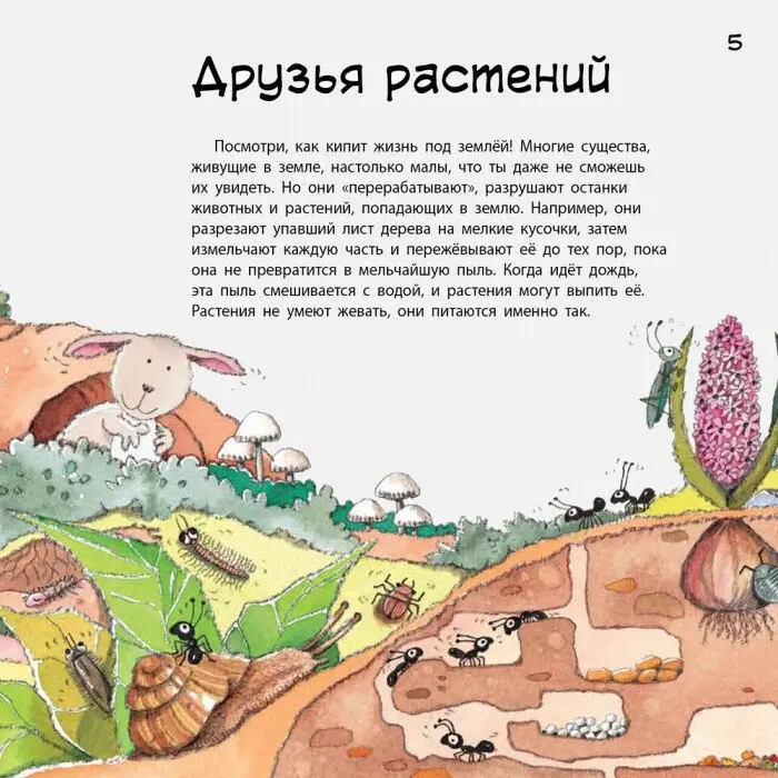 Книга Рока Н., Курто Р.: Наука рассказывает: О Земле купить,NaN