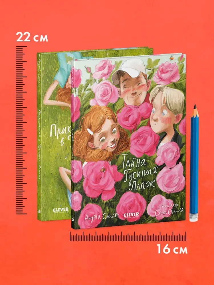 Книга Снесарь А.: Приключения в Гусиных Лапках. Тайна гусиных лапок купить,NaN