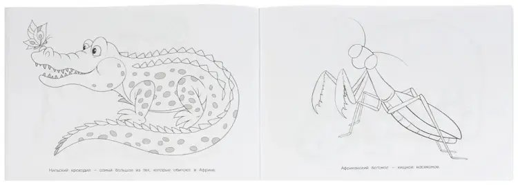 УМка Животные Африки. Альбом раскрасок. 64 картинки купить,NaN