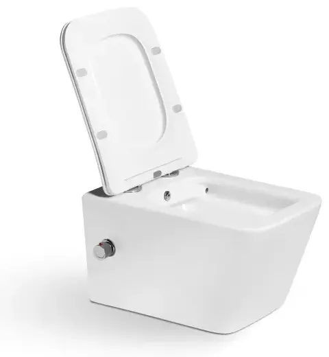 Grohe рамная инсталляция Комплект Grohe+унитаз 103BD с функцией биде - ForteMarket Grohe рамная инсталляция Комплект Grohe+унитаз 103BD с функцией биде купить,NaN