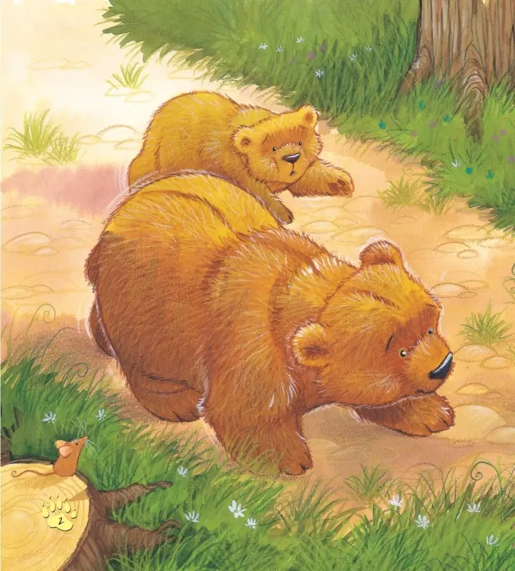 Книга Х. Хейди: Мы не всегда получаем то, что хотим купить,NaN