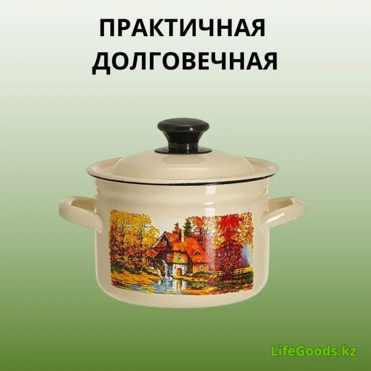Кастрюля 4 л, LifeGoods.kz LG56148 нержавеющая сталь купить,NaN