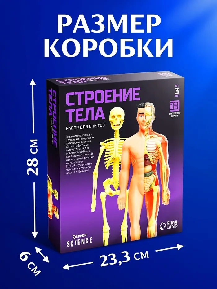 Набор Эврики Набор для опытов «Строение тела», анатомия человека купить,NaN