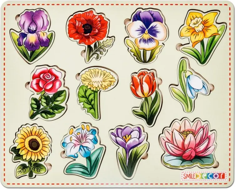 Сортер Smile Decor Рамки-вкладыши "Цветы" купить,NaN