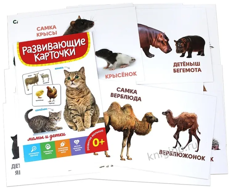 Карточки Проф-Пресс Мамы и детки купить,NaN