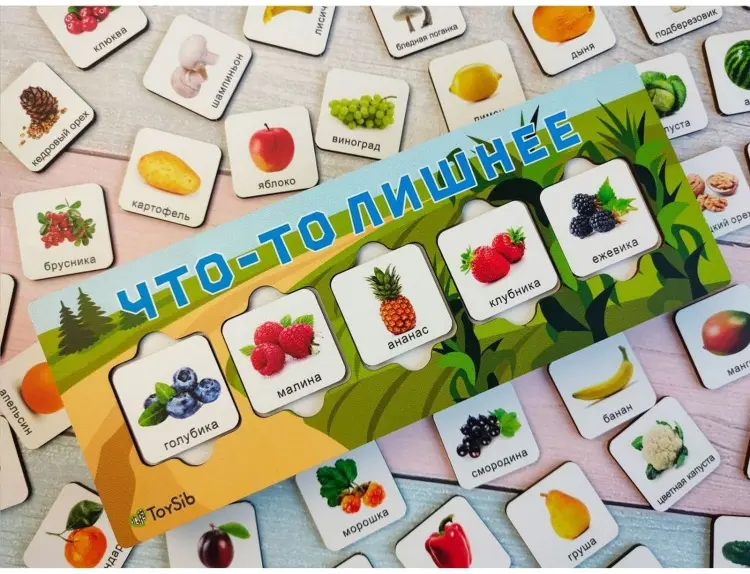 Сортер ToySib «Что-то лишнее» купить,NaN
