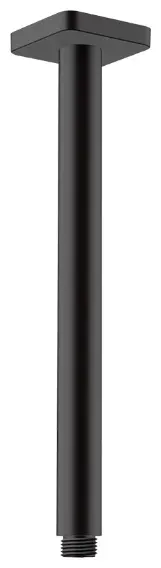 Hansgrohe держатель для душа 300х65 мм Vernis Shape 26407670, латунь
