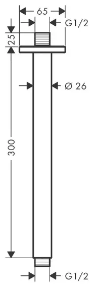 Hansgrohe держатель для душа 300х65 мм Vernis Shape 26407670, латунь