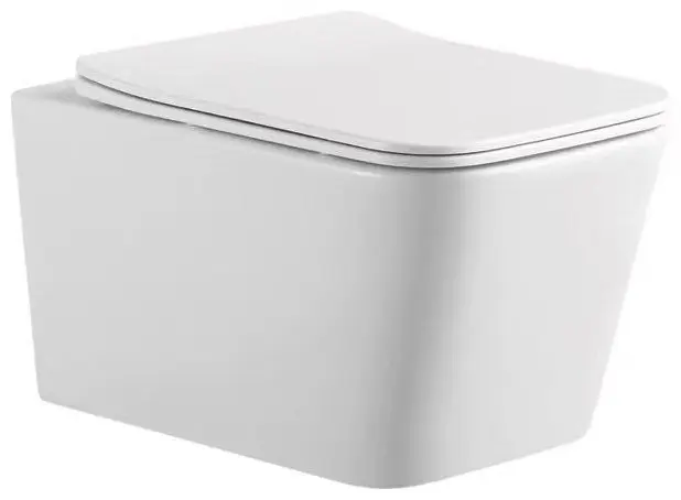 Saniteco унитаз SANITEC Rimless, санфаянс купить,NaN