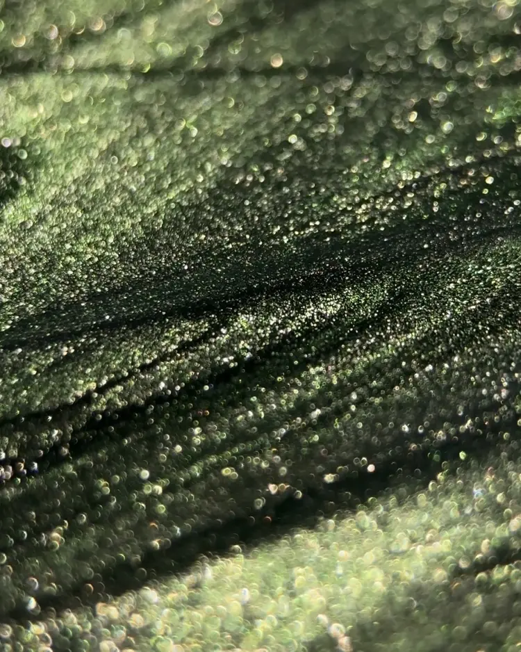 Iperfect гель-лак Green color gel 02 камуфлирующее 10 мл купить,NaN