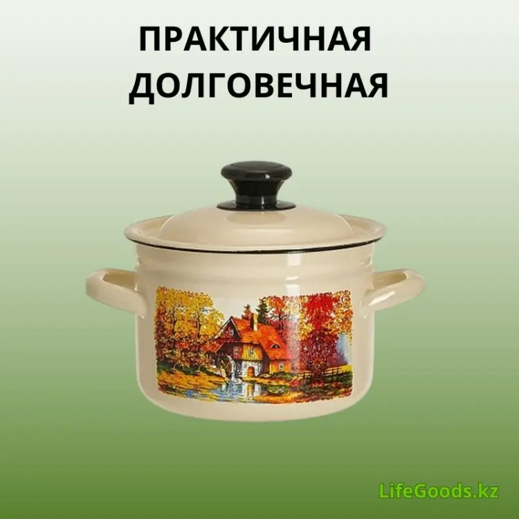 Кастрюля 2 л, LifeGoods.kz LG56138 нержавеющая сталь купить,NaN