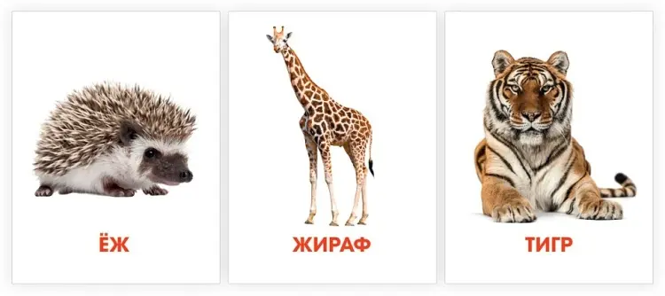 Карточки Проф-Пресс Дикие животные купить,NaN