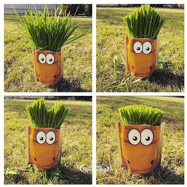 Выращивание растений Happy Plant Жираф - ForteMarket Выращивание растений Happy Plant Жираф купить,NaN