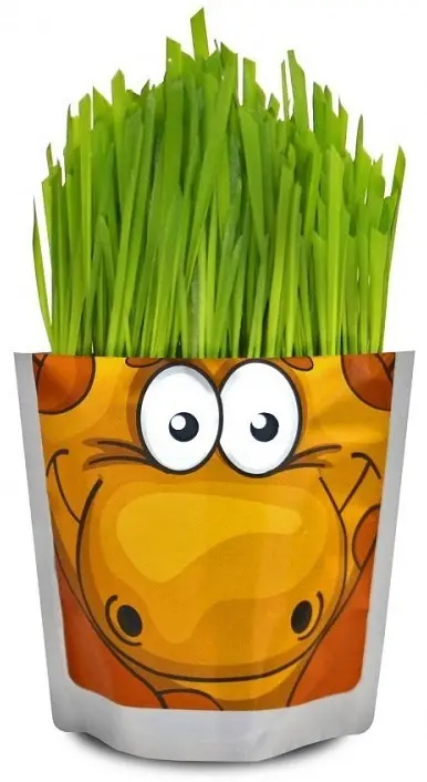 Выращивание растений Happy Plant Жираф - ForteMarket Выращивание растений Happy Plant Жираф купить,NaN