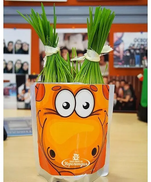 Выращивание растений Happy Plant Жираф - ForteMarket Выращивание растений Happy Plant Жираф купить,NaN