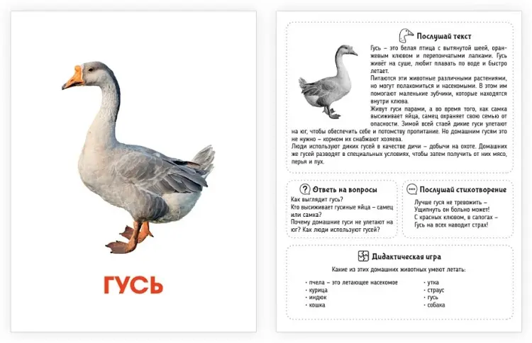 Карточки Проф-Пресс Домашние животные купить,NaN