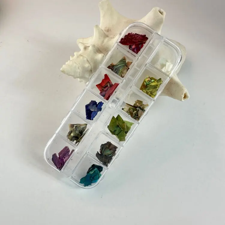 Ракушечник 45435 12 шт купить,NaN