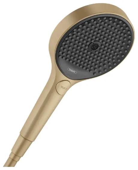 Hansgrohe ручной душ (лейка без шланга) 26864140