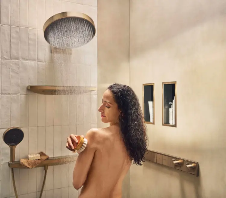 Hansgrohe ручной душ (лейка без шланга) 26864140