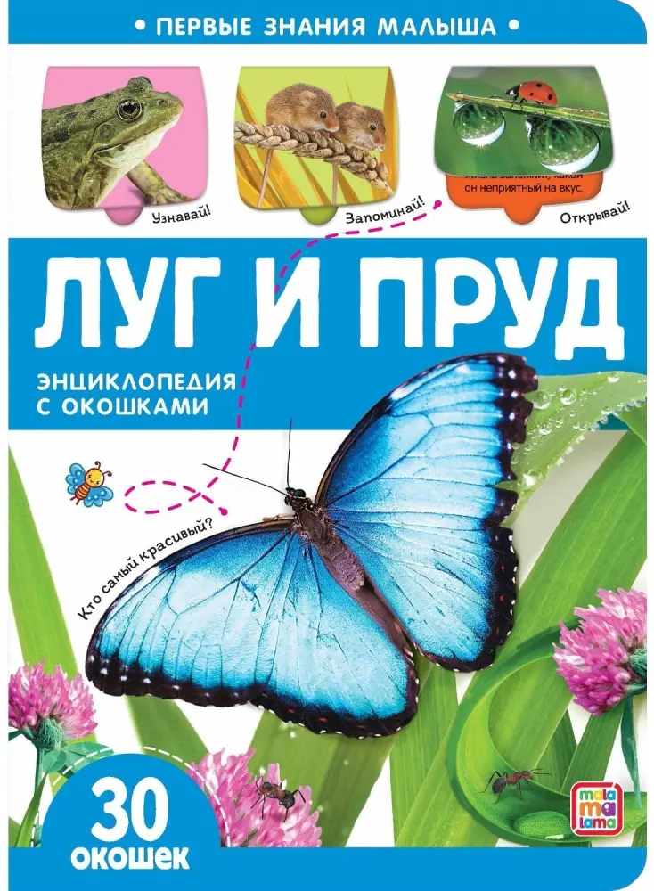 Книга Первые знания малыша Луг и пруд купить,NaN