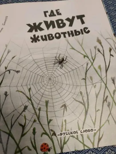 Книга Алехандро Альгарра: Алехандро Альгарра: Где живут животные купить,NaN