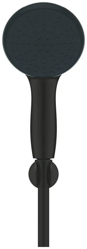 Grohe ручной душ (лейка+шланг) 279502431 купить,NaN