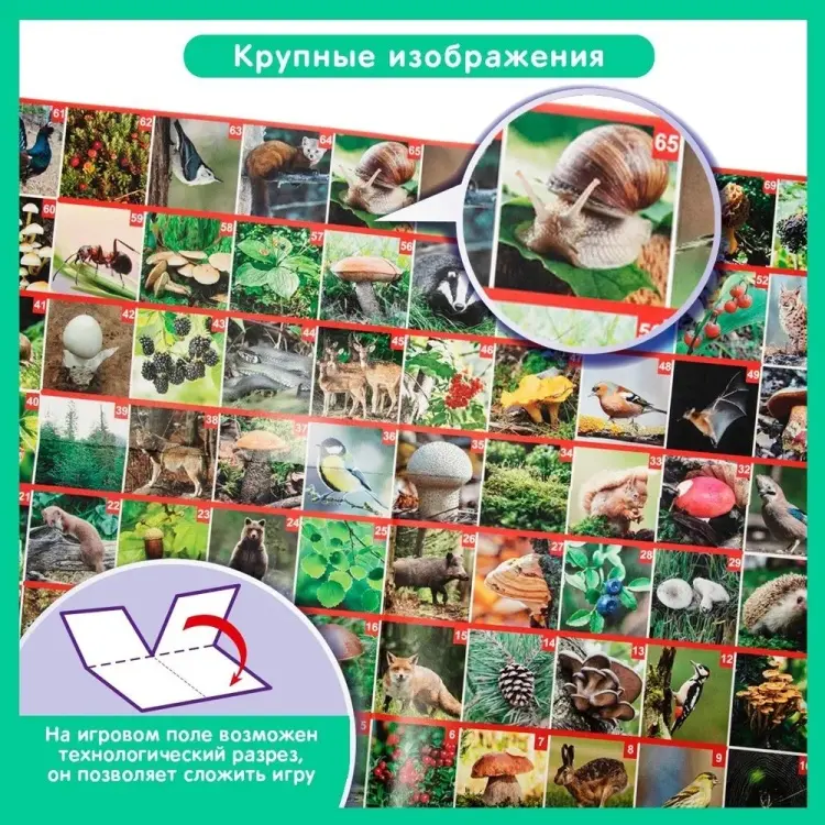 Настольная игра Десятое Королевство Прогулка по лесу купить,NaN