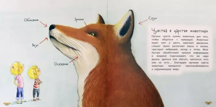 Книга Альгарра А.: Пять чувств животных купить,NaN