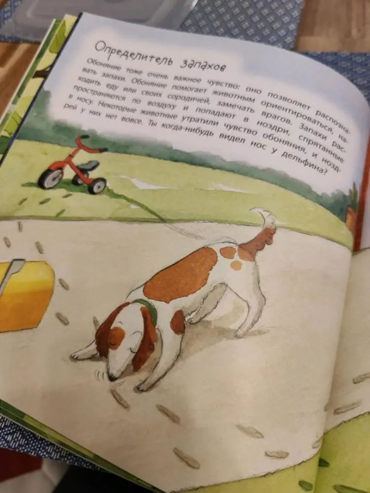 Книга Альгарра А.: Пять чувств животных купить,NaN