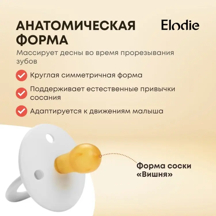 Пустышка Elodie 30106103196NA, 2 шт, мультиколор купить,NaN