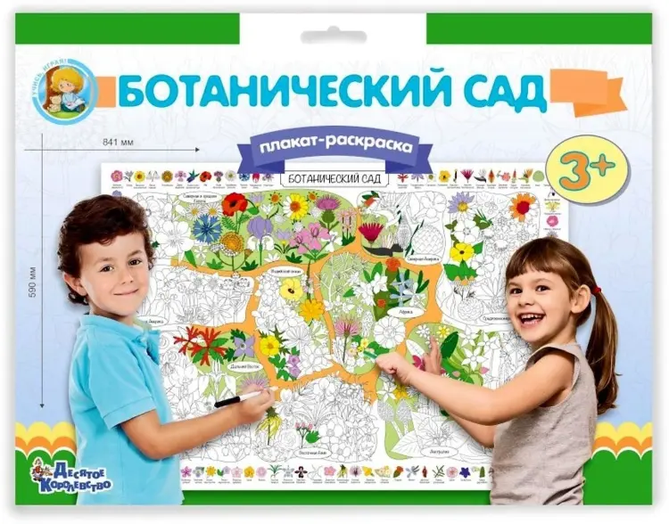 Раскраска Десятое Королевство Карта мира. Ботанический сад купить,NaN
