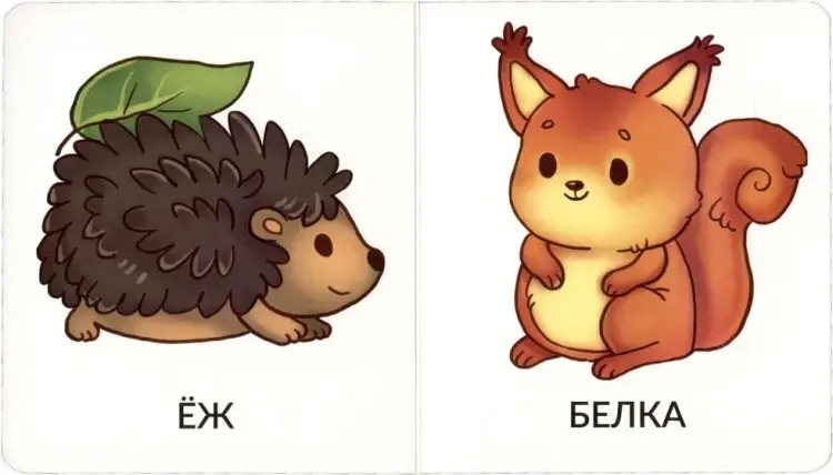 Книга Без автора: Мои первые слова. Дикие животные купить,NaN