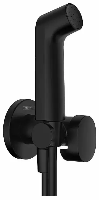 HansGrohe гигиенический душ 29230670 купить,NaN
