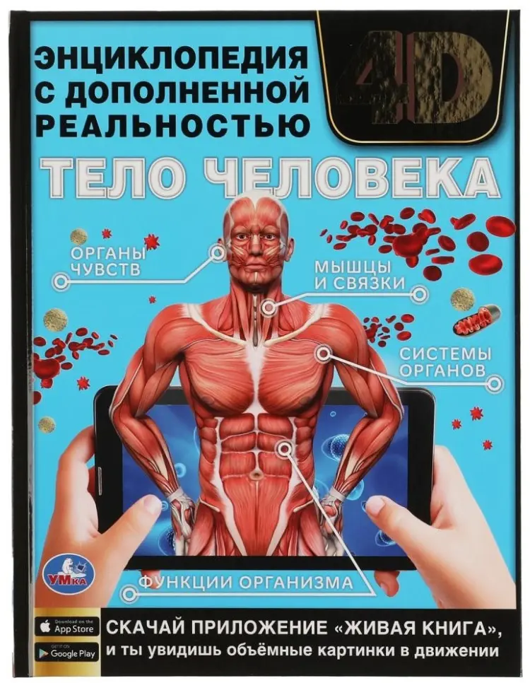 Книга Хомякова К.: Тело человека купить,NaN