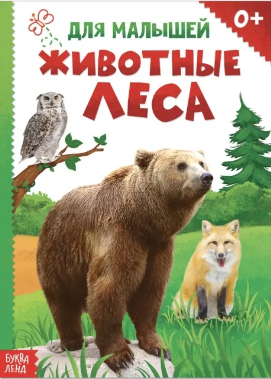 Книга Животные леса купить,NaN