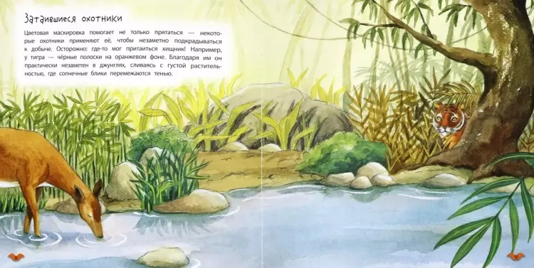 Книга Алехандро Альгарра: Алехандро Альгарра: Цвета животных купить,NaN