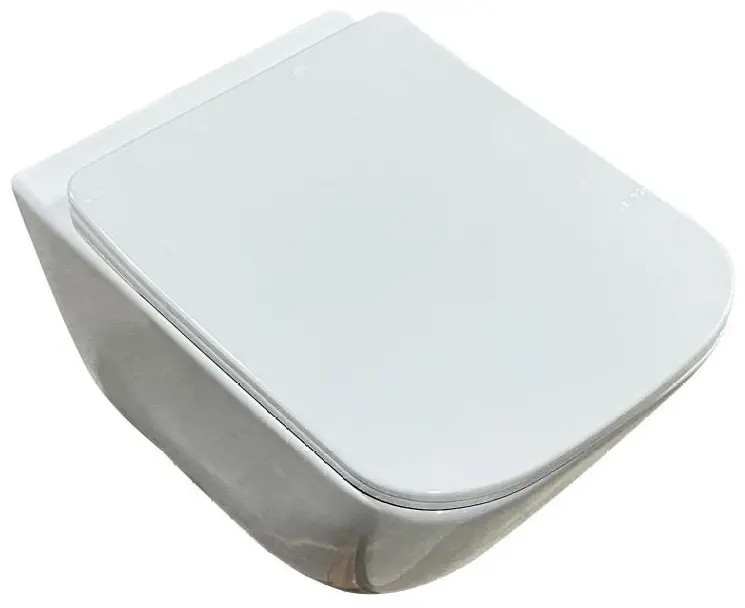 Saniteco унитаз 5319-WHT, санфаянс купить,NaN