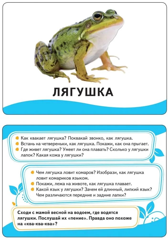 Книга Животные. Развивающие карточки купить,NaN