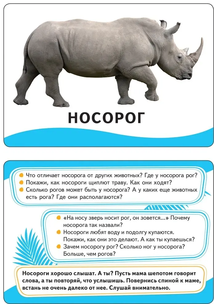 Книга Животные. Развивающие карточки купить,NaN